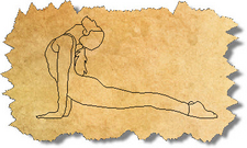 CAD Yoga Poses